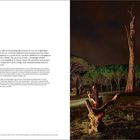 Zitat erläutert Globalisierung durch einen in China replizierten und in Portugal ausgestellten brasilianischen Baum. Rechts Foto eines beleuchteten Baumstumpfes nachts.