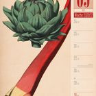 05 Mai, Woche 21/2027. Illustration einer Artischocke und eines Rhabarberstiels links.