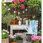 "24 JUNI" unten links. Ein gemütlicher Garten mit Blumen, Tisch, Stuhl, Gießkanne und Hängelampen vor einer Holztrennwand.