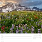 Text: "Wildblumen mit Mount Rainier (4.392 m) im Mount-Rainier-Nationalpark · Washington · USA". 

Berg in Wolken über blühender Wiese. Kalender.