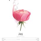 Kalenderblatt Juni, Tage 21-27. Illustration: Mädchen auf einem Flamingo, der aus einer rosa Blume ragt.