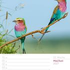 "22. Woche Mai/Juni 2027" steht rechts. Zwei bunte Vögel sitzen auf einem Ast vor einem blauen Himmel.