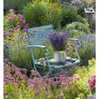 25. Juni, Montag 21 bis Sonntag 27. Ein blauer Stuhl im Garten, voll mit Lavendel in blühender Umgebung.