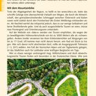 Seite 214, Tipps für Biker und Mountainbiker. Text über Friaul-Julisch Venezien. Foto: Serpentine Straße durch Wald.