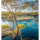 "26 JUN/JUL", Boot auf blauem Meer, bewaldete Klippen, Kiefer im Vordergrund.