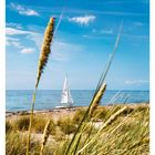 Segelboot am Strand, umgeben von Gras. Kalenderdaten: 26 JUN/JUL, MO 28, DI 29, MI 30, DO 01, FR 02, SA 03, SO 04.