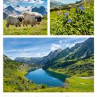 24. Woche 2027, 20 So, Juni. Oben Schafe vor Bergkulisse und Blumenwiese. Unten ein See in den Bergen.