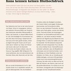 Titel: "Kuna kennen keinen Bluthochdruck". Haupttext erklärt, dass bei den Kuna Herzkrankheiten selten sind. Untertitel: "Das Geheimnis der Kuna". Kakaokonsum als Grund für ihren niedrigen Blutdruck. Zusatz: "Ziemlich gute Medizin".