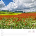"Blühendes Mohn- und Rapsfeld bei Castelluccio - Umbrien · Italien. 25. Woche, Juni. Kalenderansicht für den 21. bis 27."