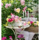 28. Juli, Mo 12, Di 13, Mi 14, Do 15, Fr 16, Sa 17, So 18. Üppige Rosen und ein Tisch im Garten.