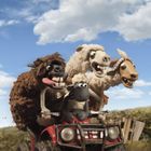 Eine bunte, humorvolle Illustration von Schafen und einem Esel auf einem roten Quad unter blauem Himmel mit Wolken.