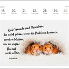 Zitat: "Gute Freunde sind Menschen… Du bist nicht allein." Zwei Hamster in flauschigem Stoff versteckt.