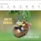Text: "HALTE DURCH, es lohnt sich!" Kalenderdaten oben. Ein kleiner Hamster hängt an einem Apfelbaum.