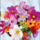 September 2027. Herzensverbindungen mit einzigartigen Menschen – die wünsche ich dir! Ein Blumenstrauß auf Holz.