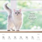 „Zeig dich von deiner besten Seite. Wer weiß, wer zuschaut! Unbekannt.“ Fluffige Katze auf Fensterbank, Kalenderdaten unten: Mai 10-16.