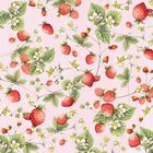 Illustration von Erdbeeren, Blüten und grünen Blättern auf rosa Hintergrund mit "MB" in der Ecke.