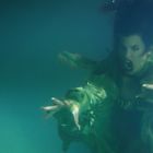 Keine erkennbaren Texte. Eine Person mit grünem Gewand sieht unter Wasser ausdrucksstark und beängstigend aus.