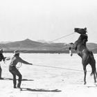 Zwei Cowboys in Wüstenlandschaft mit Hügeln halten ein steigendes Pferd mit Seilen fest.