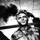 Auf der Kleidung steht „331“. Ein Mann mit ernstem Blick, hinter Stacheldraht, rauchiger Himmel, s/w Atmosphäre.