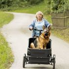 Ich sehe keinen Text. Eine ältere Frau fährt Fahrrad, vorne im Anhänger sitzt ein Schäferhund mit Brille.
