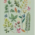 „NOTES“ in goldener Schrift. Aquarell-Illustration von Blättern und Zweigen auf einem hellgrünen Hintergrund.