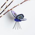 Filz-Schmetterling hängt an einem Ast mit flauschigen Knospen. Dünne Beine sind unter dem Schmetterling sichtbar.