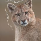 Text: "Ich kann gut den Mund halten, aber mein Gesicht hat Untertitel." 
Ein Puma schaut direkt, im Hintergrund ein einfarbiger Bereich.