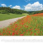 Wanderweg entlang Mohnblumenfeld in Thüringen. Kalender für Mai 2021. Landschaft mit grünem Hügel und blauem Himmel.