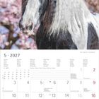 5 • 2027 Kalender mit Pferd vor rosa Blüten. Wochentage und Notizenbereich. Feiertage und besondere Tage markiert.
