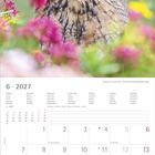 6 • 2027, Monat Juni. Kalender mit Eule im Vordergrund, umgeben von bunten Blumen.