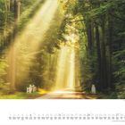 Juni. Kalender mit Tagen und Wochentagen. Sonnenstrahlen durchleuchten einen Waldweg in einem grünen Wald.