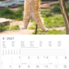 Kalender für Juni 2027. Oben hängt ein rotes Kätzchen an einem Ast, umgeben von einem grünen Hintergrund.