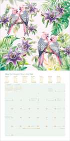 Kalenderseite für Mai 2027 in mehreren Sprachen. Oben sind rosa Vögel und violette Blüten auf grünem Hintergrund.