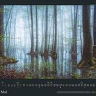Kalender: "Mai." Wald mit nebligem Teich, hohe Bäume spiegeln sich im Wasser. Unten Logos und Monatsübersicht.