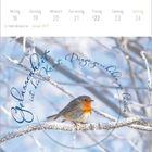 Montag 18 bis Sonntag 24 Januar 2027. "Gelassenheit ist die Kunst, Dinge geschehen zu lassen." Rotes Kehlenrotkehlchen auf verschneitem Ast.