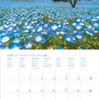 „Der Horizont ruft: Deinen Träumen sind keine Grenzen gesetzt.“ Kalender für Juni, blühende blaue Blumenwiese.