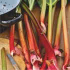 "MAI 2027" Kalender. Rhabarberstangen, ein Messer und ein Sieb liegen auf einem Holzbrett.