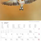 "5 · 2027" und Kalendarium für Mai mit Notizbereich. Ein Stieglitz breitet die Flügel vor einem orangefarbenen Hintergrund aus.