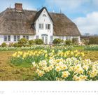 3 · 2027. Ein reetgedecktes Haus mit weißen Wänden umgeben von einem Garten voller gelber Narzissen unter blauem Himmel.