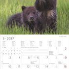 Kalender für Mai 2027. Zwei junge Bären im Gras. Daten für deutsche Feiertage und Notizen.