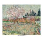 "Vincent van Gogh, Orchard with cypress trees, 1888." Ein impressionistisches Gemälde mit blühendem Obstgarten.