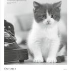 Zitat prangt neben sitzendem Kätzchen. Kalenderdaten unten, Oktoberwoche 41.