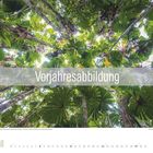 "Vorjahresabbildung" steht auf einem transparenten Streifen. Palmenblätter sind von unten nach oben sichtbar.