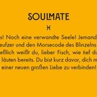 Text in Großbuchstaben "SOULMATE". Beschreibung von Empfindungen und Verbindung mit einer verwandten Seele. Symbolelement.