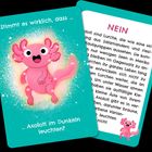 Zwei Karten mit Text: "Stimmt es wirklich, dass ... Axolotl im Dunkeln leuchten?" Die Antwort "NEIN" auf der Rückseite. Ein lächelnder Axolotl als Illustration.