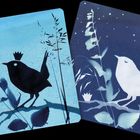 Zwei Illustrationen von Vögeln auf Ästen, links ein schwarzer Vogel, rechts ein weißer Vogel unter einem Mond.