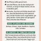Darauf musst du achten: Samenfestes Saatgut, gesunde Pflanzen, Beachtung bei Kreuzbestäubung. Geeignet: Bohnen, Erbsen.