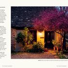 Linke Seite: Tipps zu Beleuchtung und Pflanzen für Vorgärten bei Nacht. Rechte Seite mit Foto eines beleuchteten Hauses, blühender Baum.