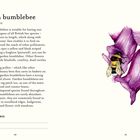 Text: Garden bumblebee, Bombus hortorum. Beschreibung einer Hummel mit langer Zunge. Illustration: Hummel auf lila Blume.