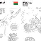 MADAGASCAR, MALAYSIA. Sifaka lemur, Mandarin fish. Illustration: Lemuren auf einem Ast, Mandarinfisch im Wasser.